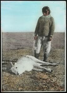Image of Eging-wah and Dead Caribou